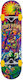 Tony Hawk Complete Shortboard