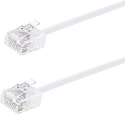 Powertech Netzwerkkabel U/UTP Kat.6a Ethernet Kabel 0,25m Weiß