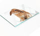 Tulup Red Glass Chopping Surface 80x52cm
