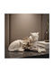 Keskor Decorative Polyresin Animal 24x9.5x9.5cm