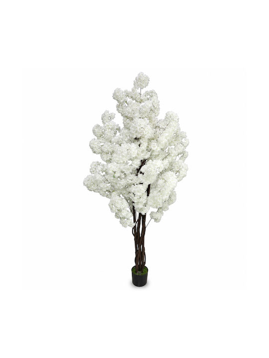 Artificial White Cherry 6 Woven Trunks Potted Plant 210cm 87219-1