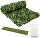 Plasă De Camuflaj Verde 2x5m