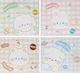 Wktorebki Gift Bag