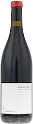 Ktima Apostolidi Wein Paleochori Rotes Trocken 750ml Ktima Apostolidi Wein Paleochori Rotes Trocken 750ml
