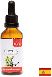 Artesania Agricola Ätherisches Öl 50ml