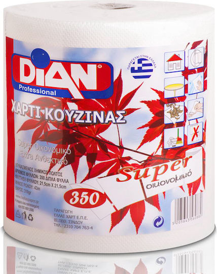 Dian Кухненска Хартия Ролка 2 Пласта (350гр/Ролка)