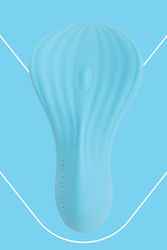 Fairygasm Blue Vibrator