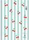 Salko Paper Spiral Ruled Notebook 120 Paper Sheets 2 Subjects