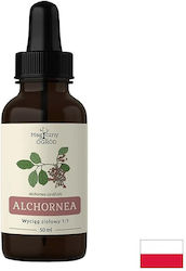 Îngrijirea pielii Tinctură Alchornea Cordifolia 50 Ml Îngrijirea pielii Tinctură Alchornea Cordifolia 50 Ml