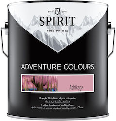 Latex Interior Spirit Ashikaga Acoperire De Înaltă Clasă 13-15 Mp Rezistent La Spălare Umedă Și Frecare Latex Interior Spirit Ashikaga Acoperire De Înaltă Clasă 13-15 Mp Rezistent La Spălare Umedă Și Frecare