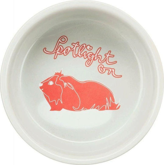 Trixie Keramische Schale Für Meerschweinchen Hase Weiß Design 250ml 11cm