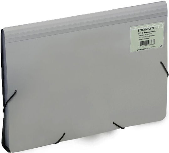 Foldermate Polymaster A4 13-Piece Grey Elastic File Folder