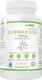 Wish Pharmaceutical Gurmar GS4 Extract 450 mg 90 капсули
