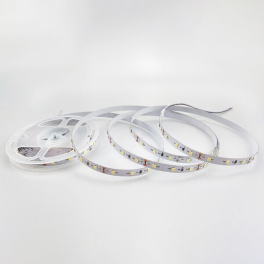 Eurolamp LED-Streifen 24V Kaltweißes Licht 5m Typ SMD2835