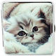 Belbox Tabachieră Cat 02