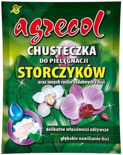 Orchid Care Wipes Leaf Plants