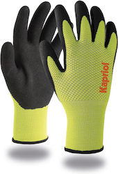 Kapriol Grip