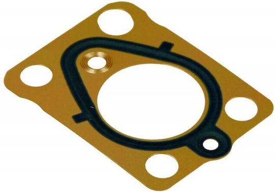 Delphi O-Ring Für Einspritzpumpe Citroen C4 2,0 06