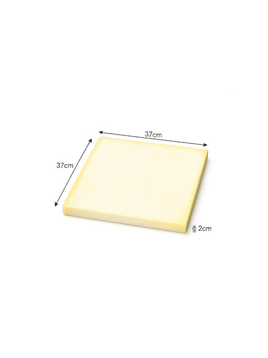 JGS S.A. Foam 250 Medium Density 37cm x 37cm x 2cm