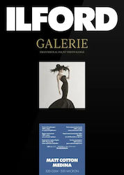 Ilford Hârtie foto Ilford Galerie Mat Cotton Medina 320g A3+ 25 Foi Ilford Hârtie foto Ilford Galerie Mat Cotton Medina 320g A3+ 25 Foi