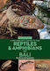 Naturalist's Guide To The Reptiles & Amphibians Of Bali (2nd Edition) - John Beaufoy Publishing Ltd - Paperback / Softback