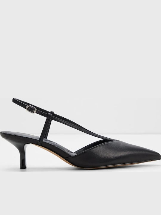 Aldo Aldo