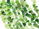 Grüner Achat Große Chips 8~18mm 180Stück Schnur 80cm