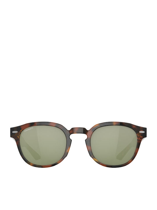 Serengeti Sunglasses Brown With Frame Serengeti Sunglasses Brown With Frame