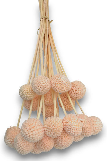 Buchet Bile Uscate Roz Floare Decorativă 20 Ramuri 55cm L122r Riniotis Rin-l122r
