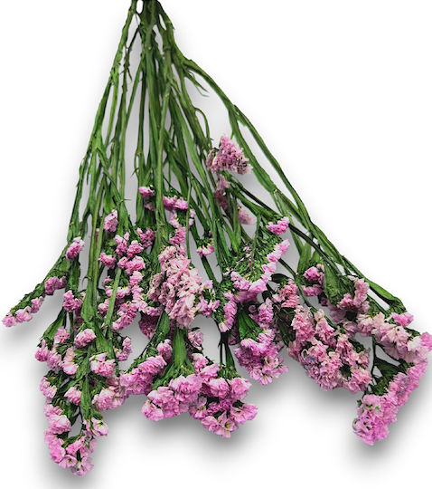 Buchet Lila Amarant Elegant Floare Uscată 70cm L123lil Riniotis Rin-l123lil