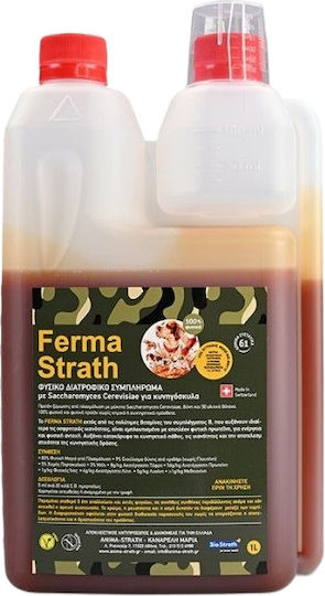 Multivitamine Hund in Sirup 1000ml für Haut & Haar