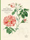 John Derian Colouring Book: Flowers - Workman Publishing - Paperback / Softback