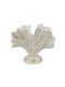 Decorative Metallic Shell Figurine 26x22cm Antique White Kaemingk 830901