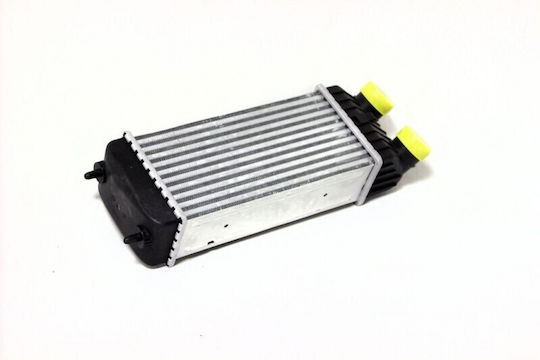 Ψυγείο Αέρα Υπερπλήρωσης Citroën C2 C3 I C3 Ii C3 Picasso 0384j4