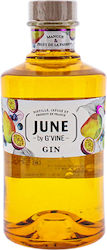 G' Vine June Gin 37,5% 700ml