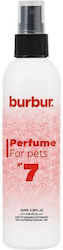 Burbur Perfume No7 Mandarin Violet Woody Notes 100ml