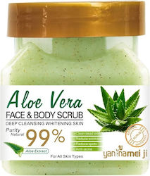 Scrub Προσώπου & Σώματος Aloe Vera 500g