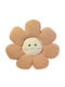 Kids Decorative Brown Pillow 40x40cm