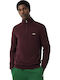 Long Sleeve Sweater Oxalis