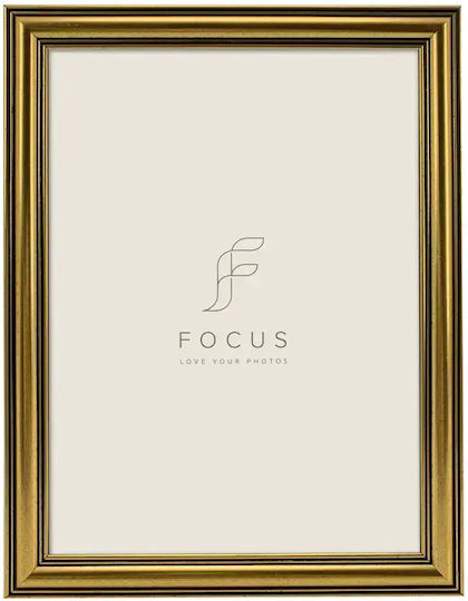 Focus Wall-Mounted Plastic Photo Frame with Gold Frame