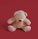 Soft Mini Teddy Bear Dimensions 15*10