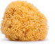 Suavinex Baby Badezubehör Schwamm Beige