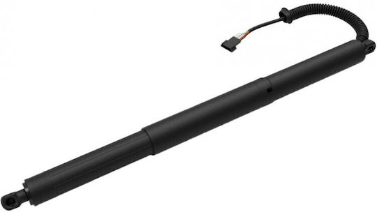 Loro Kofferraum-Schock Für Bmw 2 Active Tourer 51247348523