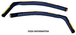 Rauch Auto Windschutzscheiben Für Ford Focus Ii 5d Sedan Hatchback Combi 2004–2011 Smartic Modell Sma-000063 Rauch Auto Windschutzscheiben Für Ford Focus Ii 5d Sedan Hatchback Combi 2004–2011 Smartic Modell Sma-000063