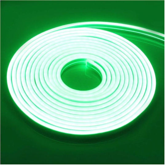 Rixme Waterproof LED Strip 12V Green Light 5m Neon Flex with Power Supply