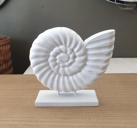 Seashell Base White 19cm Jκ Home Décor