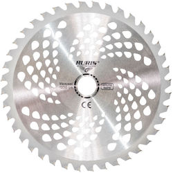 Ruris 40-blade Vidia Tungsten Carbide Grass Cutting Disc 12,000 Rpm Ruris 40-blade Vidia Tungsten Carbide Grass Cutting Disc 12,000 Rpm