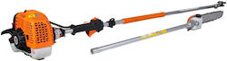 Ruris R10 Petrol Pole Pruner 1.4 Hp 300 Mm Guide Bar 2.8 M Cutting Height Ruris R10 Petrol Pole Pruner 1.4 Hp 300 Mm Guide Bar 2.8 M Cutting Height