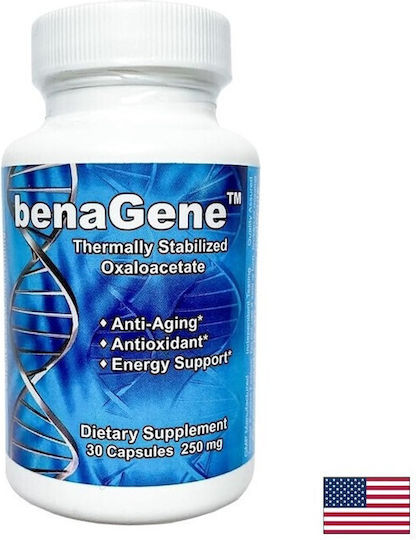 Oxaloacetic 100 mg 30 капсули с вкус Energy