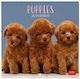 Legami Milano Puppies Daily Wall Calendar 2027 ...